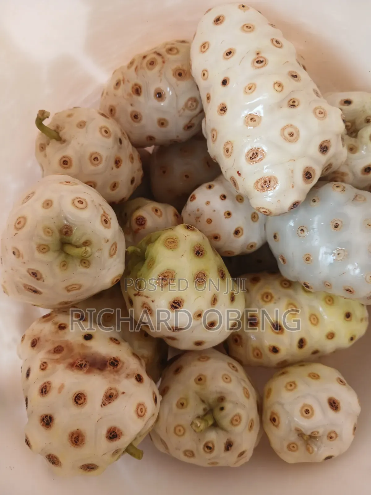 Organic Noni for Sale