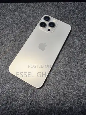 Apple iPhone 15 Pro Max 256 GB Silver