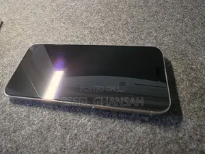 Apple iPhone 15 Pro Max 256 GB Silver