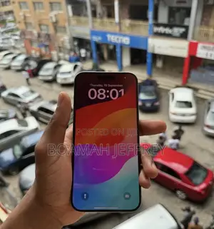 Apple iPhone 15 Pro Max 256 GB Gray