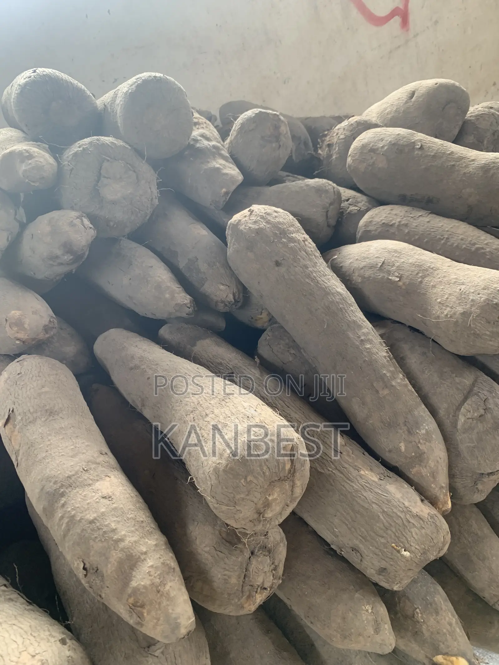 Yam Tubers
