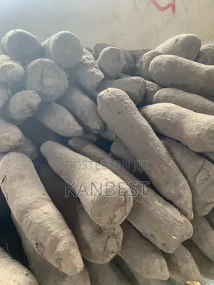 Yam Tubers