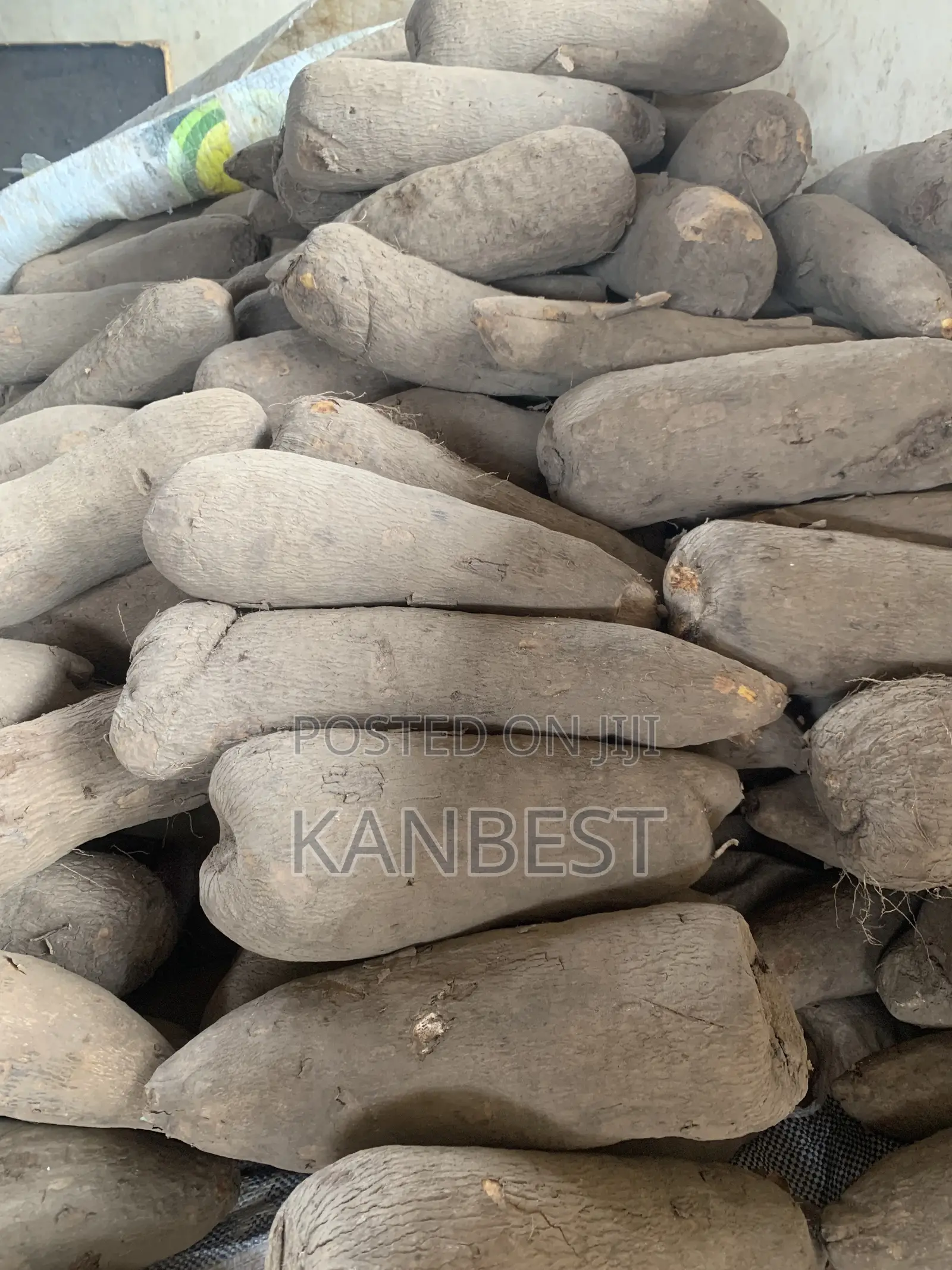 Yam Tubers