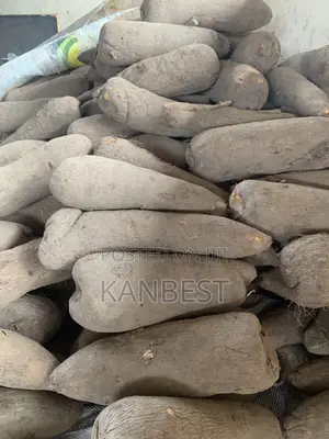 Yam Tubers