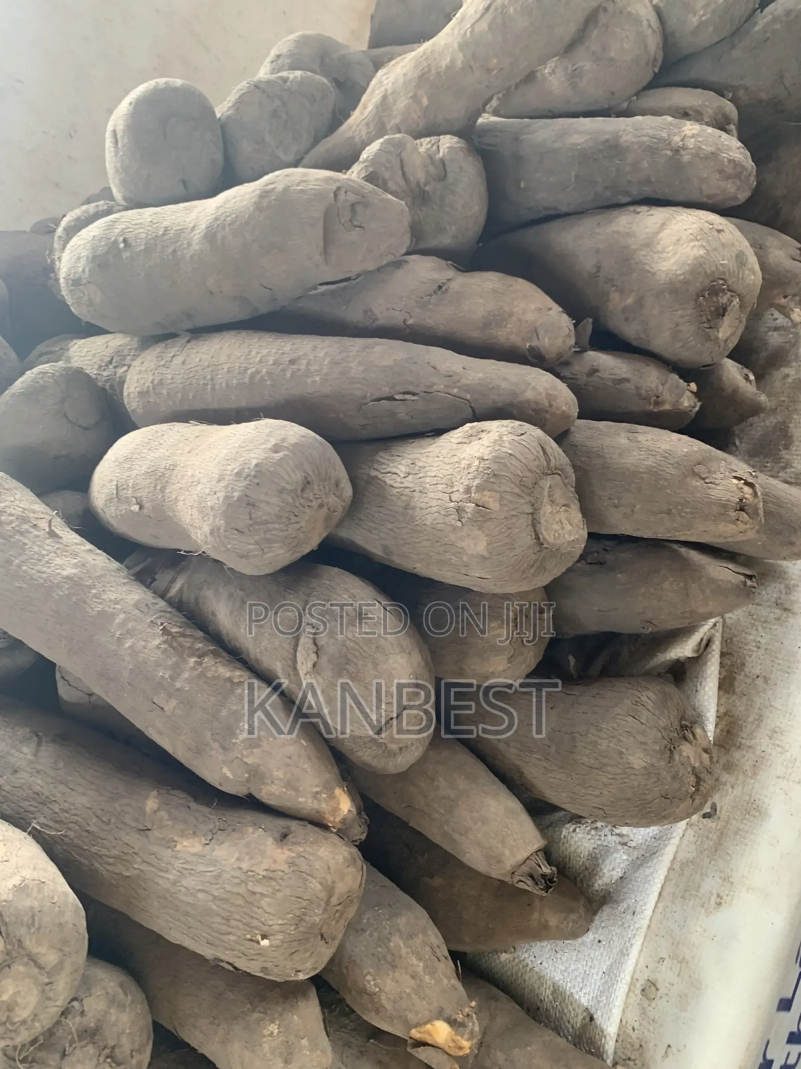 Yam Tubers