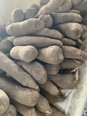 Yam Tubers