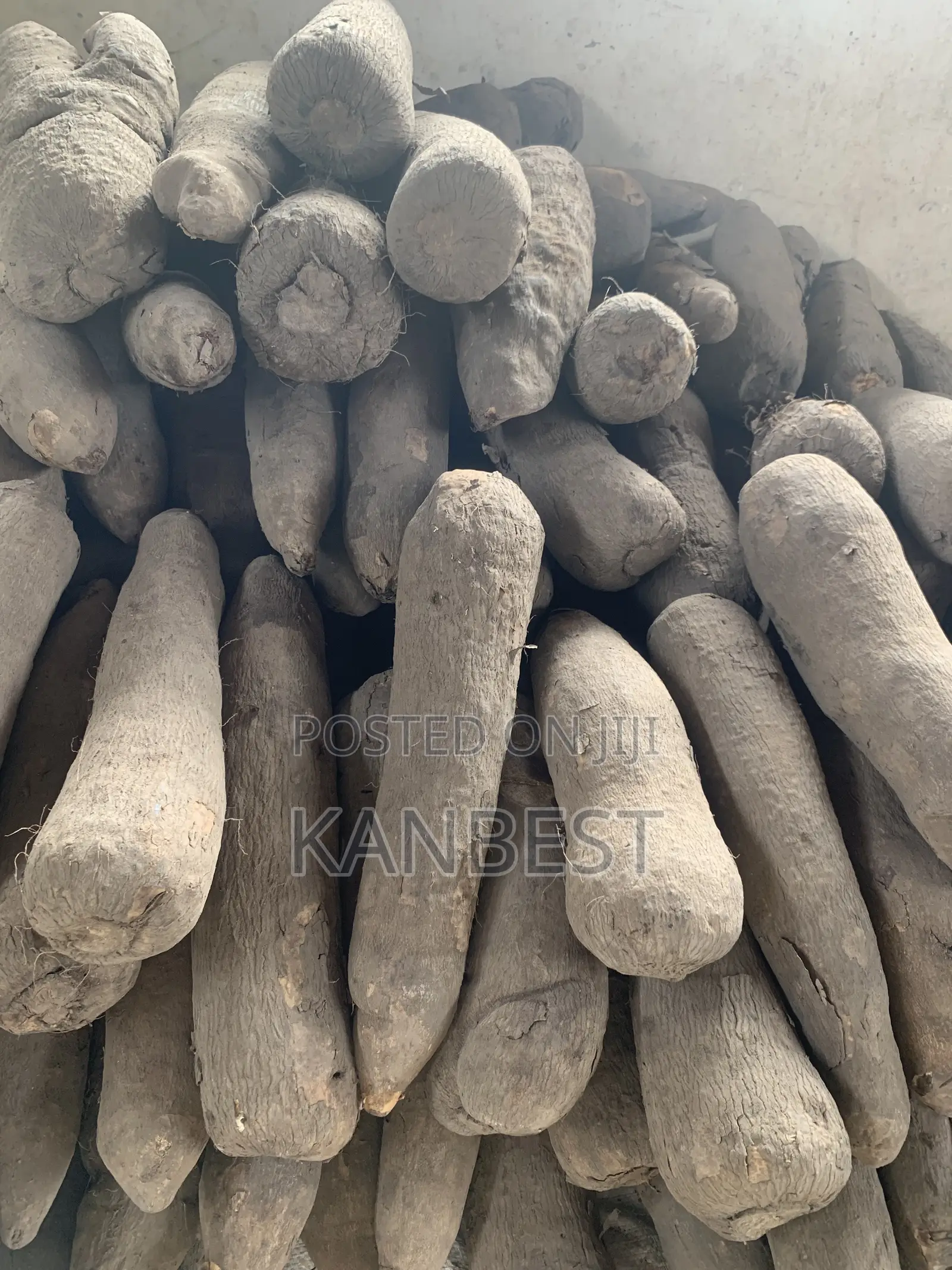 Yam Tubers