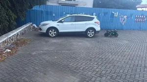 Ford Escape S 2013 White