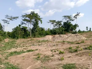 Half Plot for Sale at Offinso