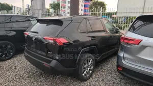 Toyota RAV4 XLE AWD 2024 Gray