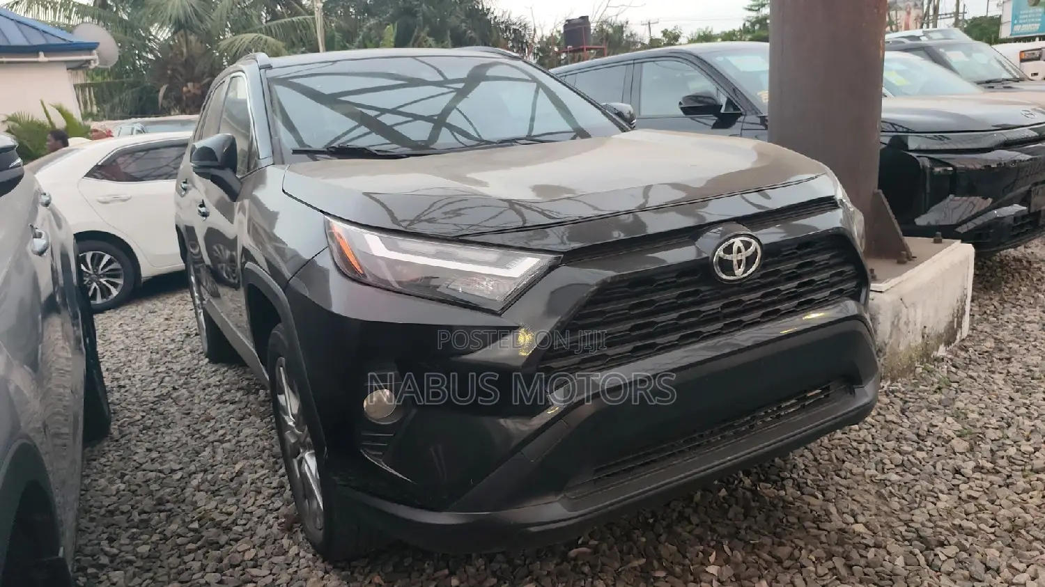 Toyota RAV4 XLE AWD 2024 Gray