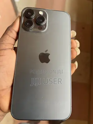 Apple iPhone 13 Pro Max 256 GB Gray