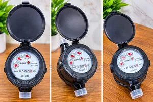 Water Meter