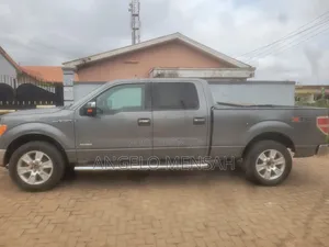Ford F-150 XLT 2011 Gray
