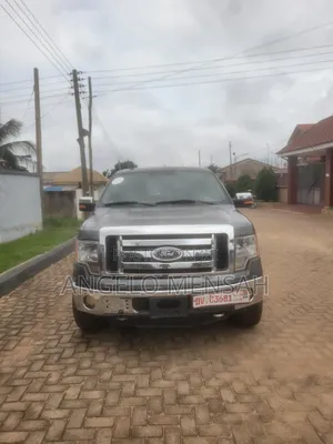 Ford F-150 XLT 2011 Gray