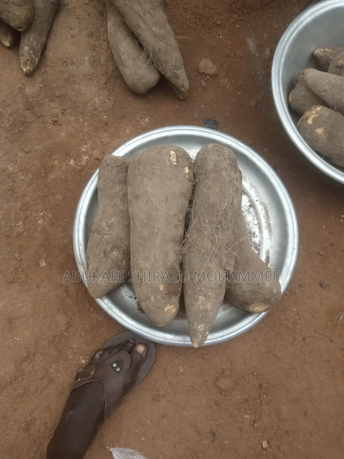 Fresh Yams
