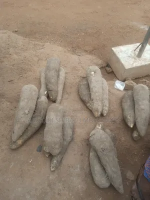 Fresh Yams