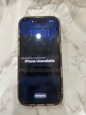 iPhone/iPad Passcode Bypass With Full Signal- X to 17 Pro Max
