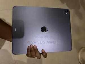Apple iPad Pro 13 (2024) 256 GB Gray