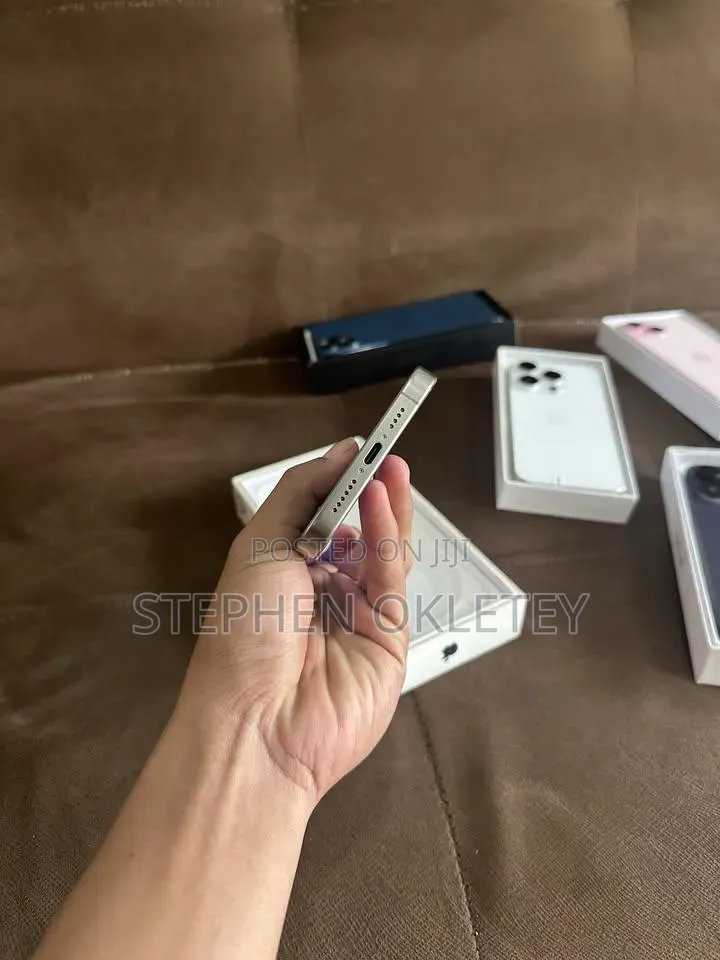 Apple iPhone 15 Pro Max 256 GB Silver