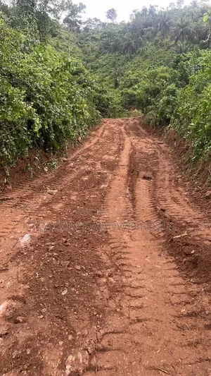 Registered Plot of Land at Mamfe Akuapim