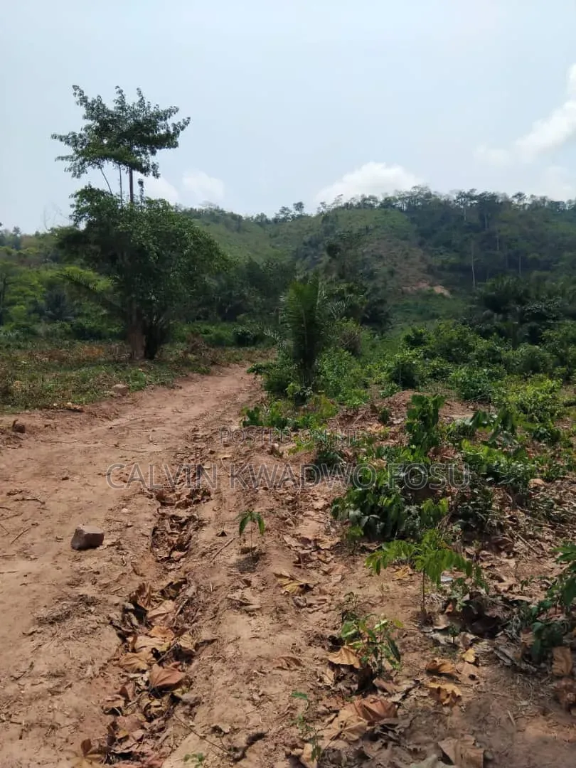 Registered Plot of Land at Mamfe Akuapim