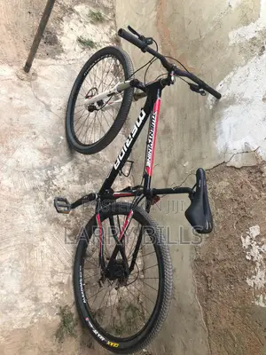 Size 29bicycle