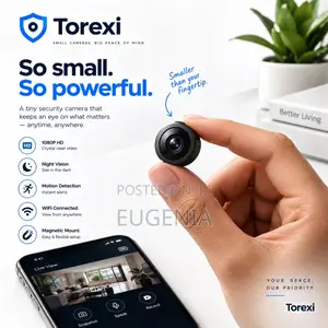 Tiny Hidden Security Camera’s
