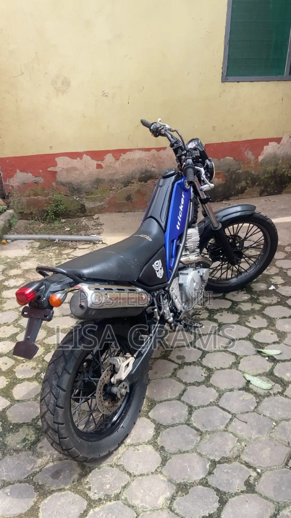 Yamaha 2015 Blue