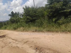 60 to 100 Acres Farmland at Obosono