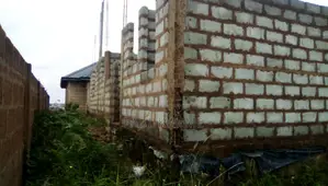Land With Project
