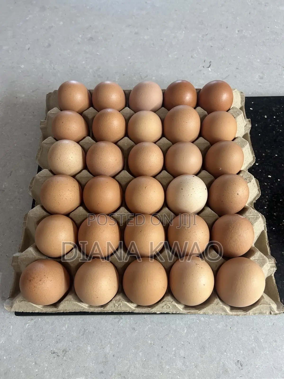 Fresh Eggs for Sale