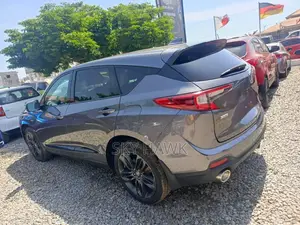 Acura RDX A-Spec Pkg AWD 2019 Gray