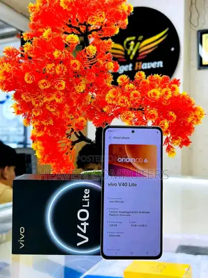 New Vivo V40 Lite 256 GB Gray