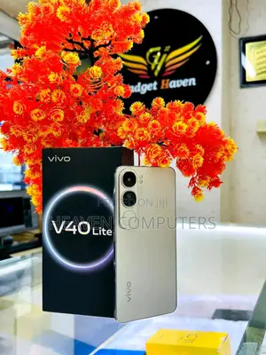 New Vivo V40 Lite 256 GB Gray