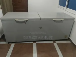 Deep Freezer Double Door