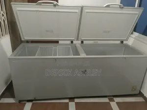 Deep Freezer Double Door