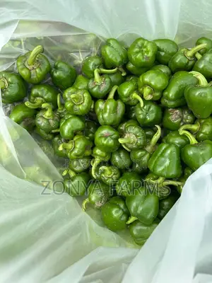 Sweet Green Pepper