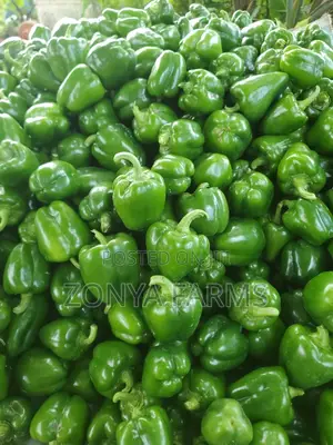 Sweet Green Pepper