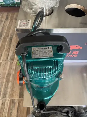 SHANYING 1HP Garden Submersible Pump