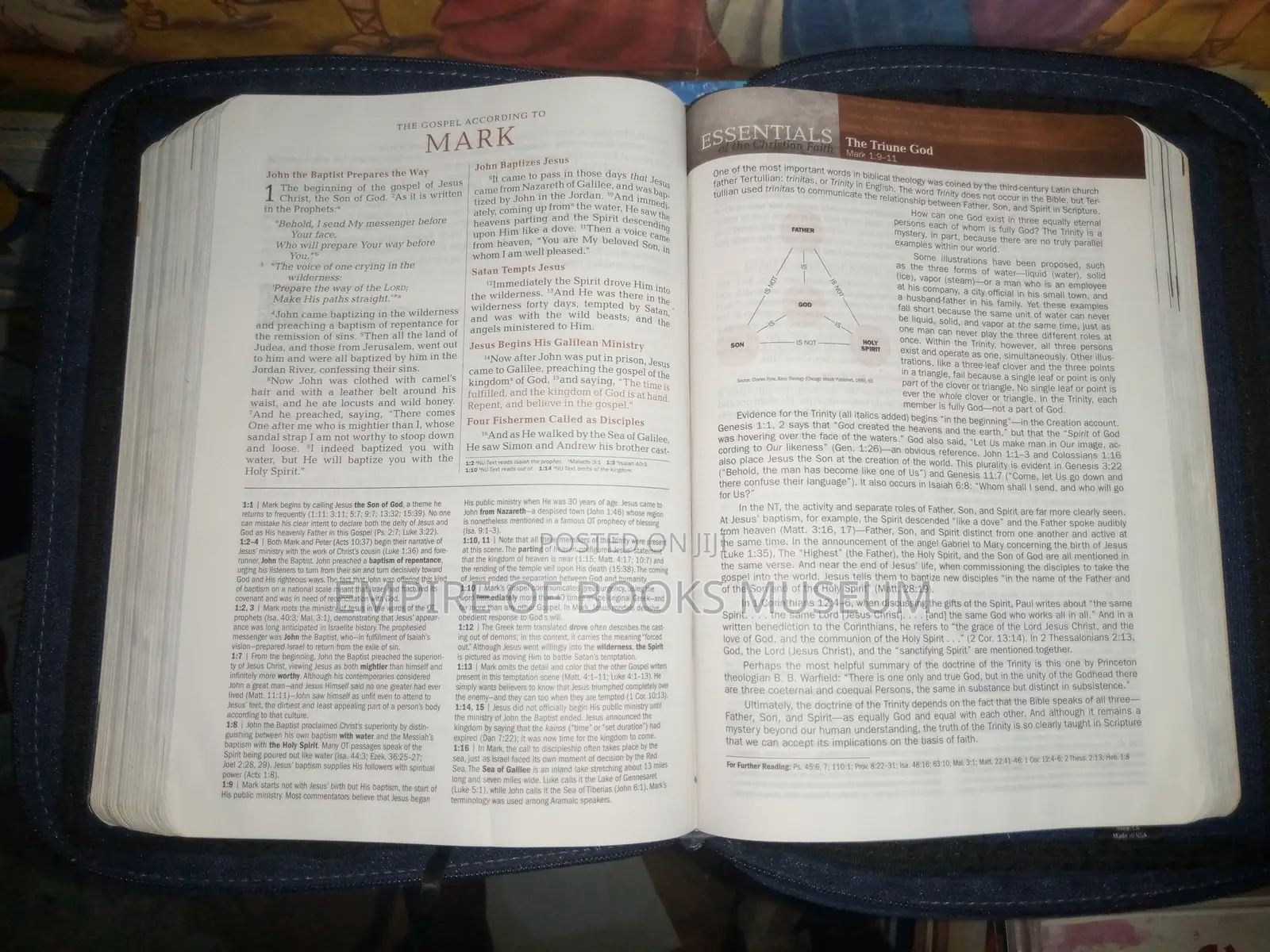 The Jeremiah Study Bible, NKJV: In Scripture Bag: What It Says.