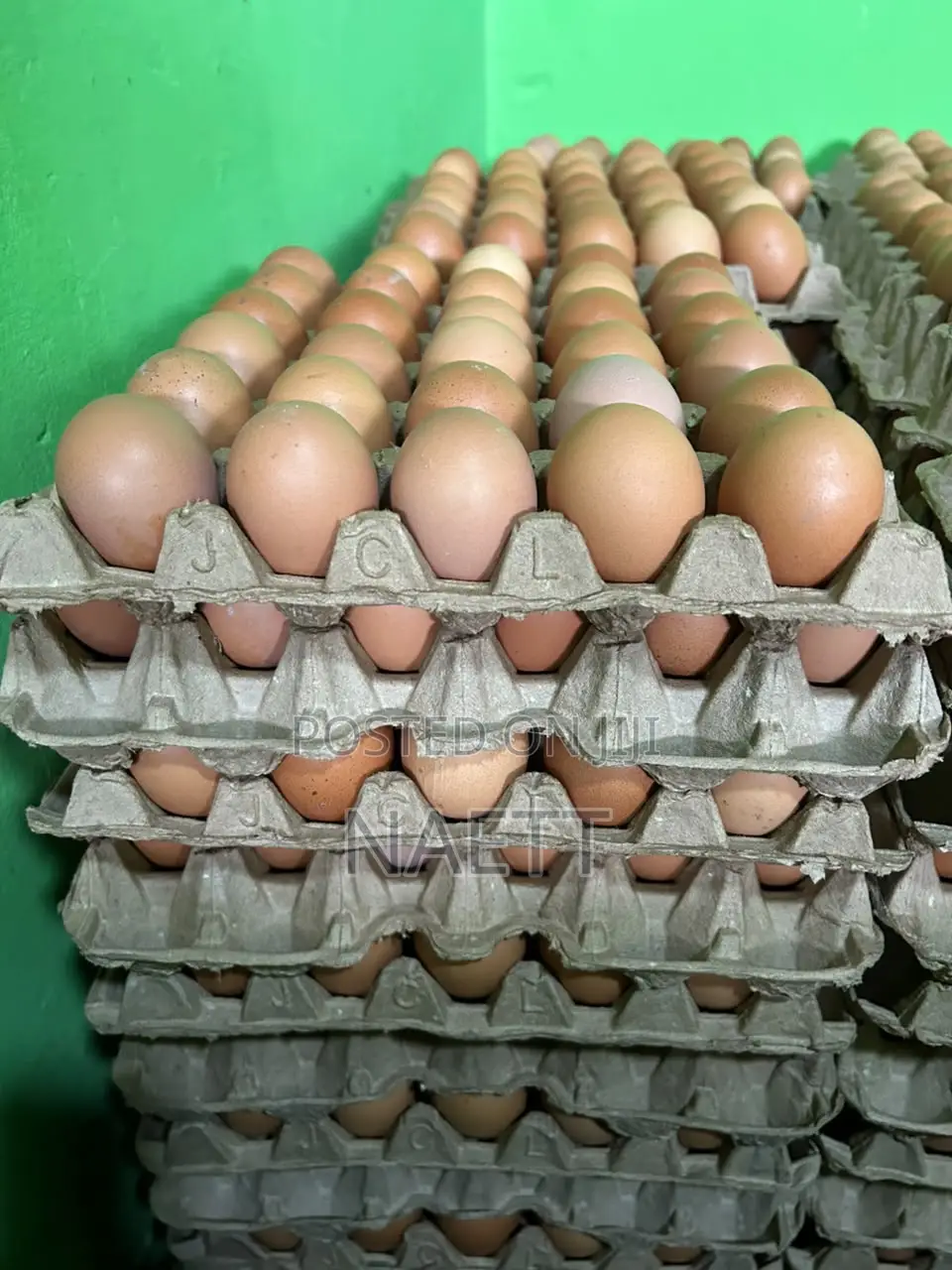 Fresh Eggs