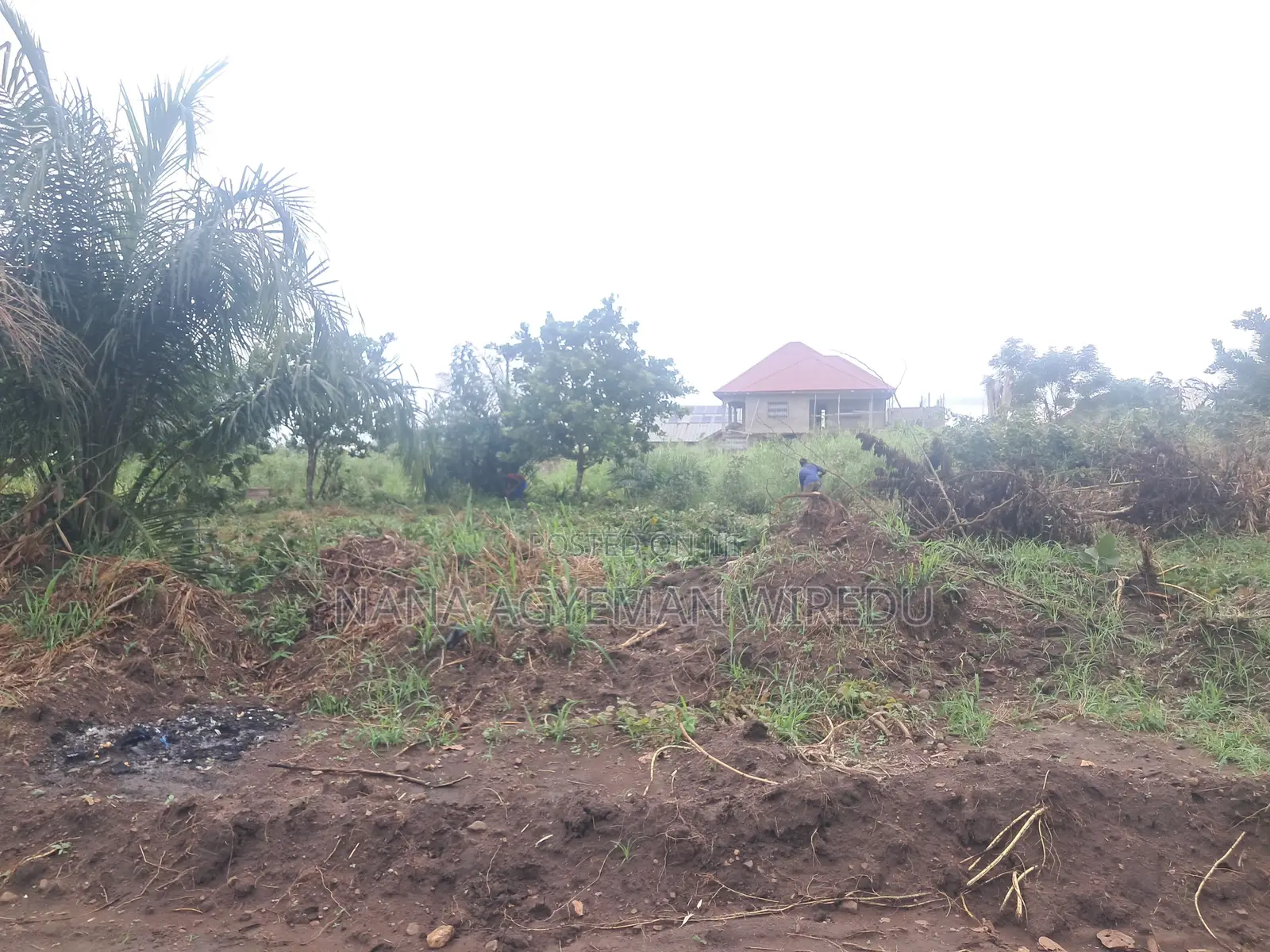 Prime Land for Sale in Ho