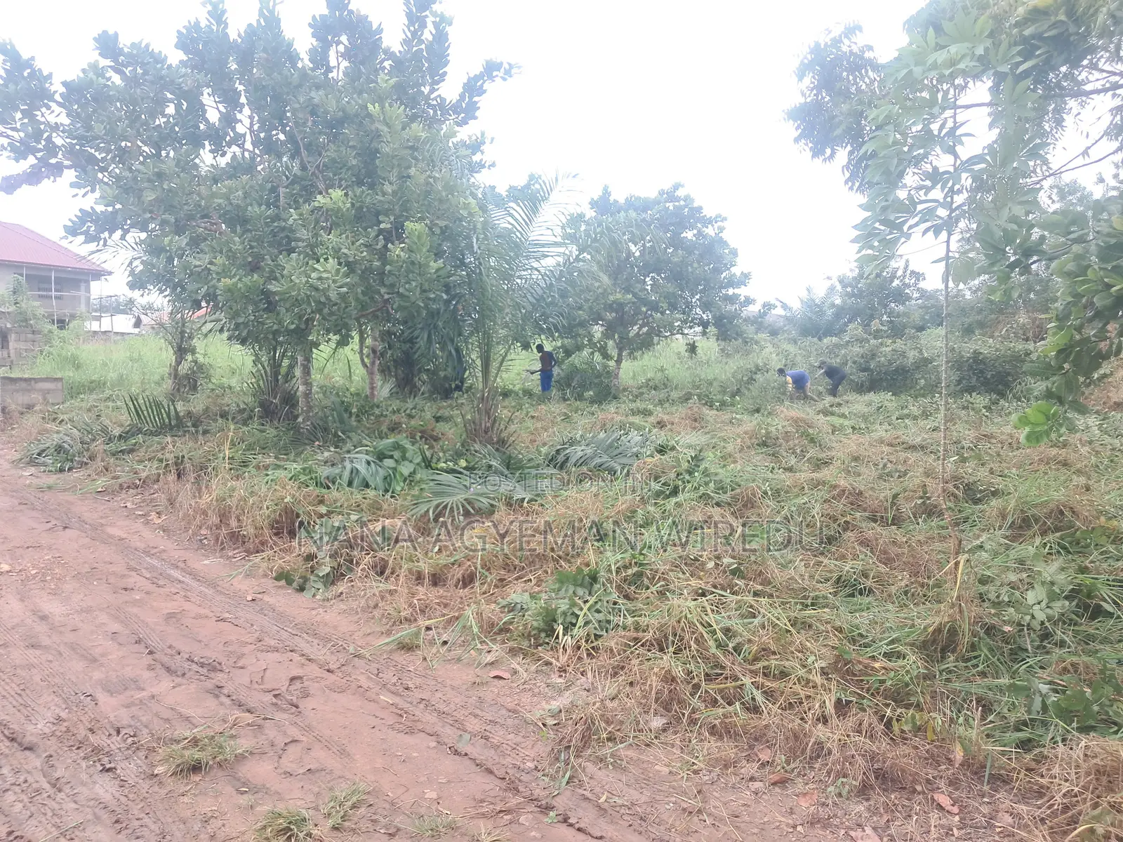 Prime Land for Sale in Ho