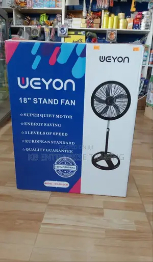 WEYON Electric Fan