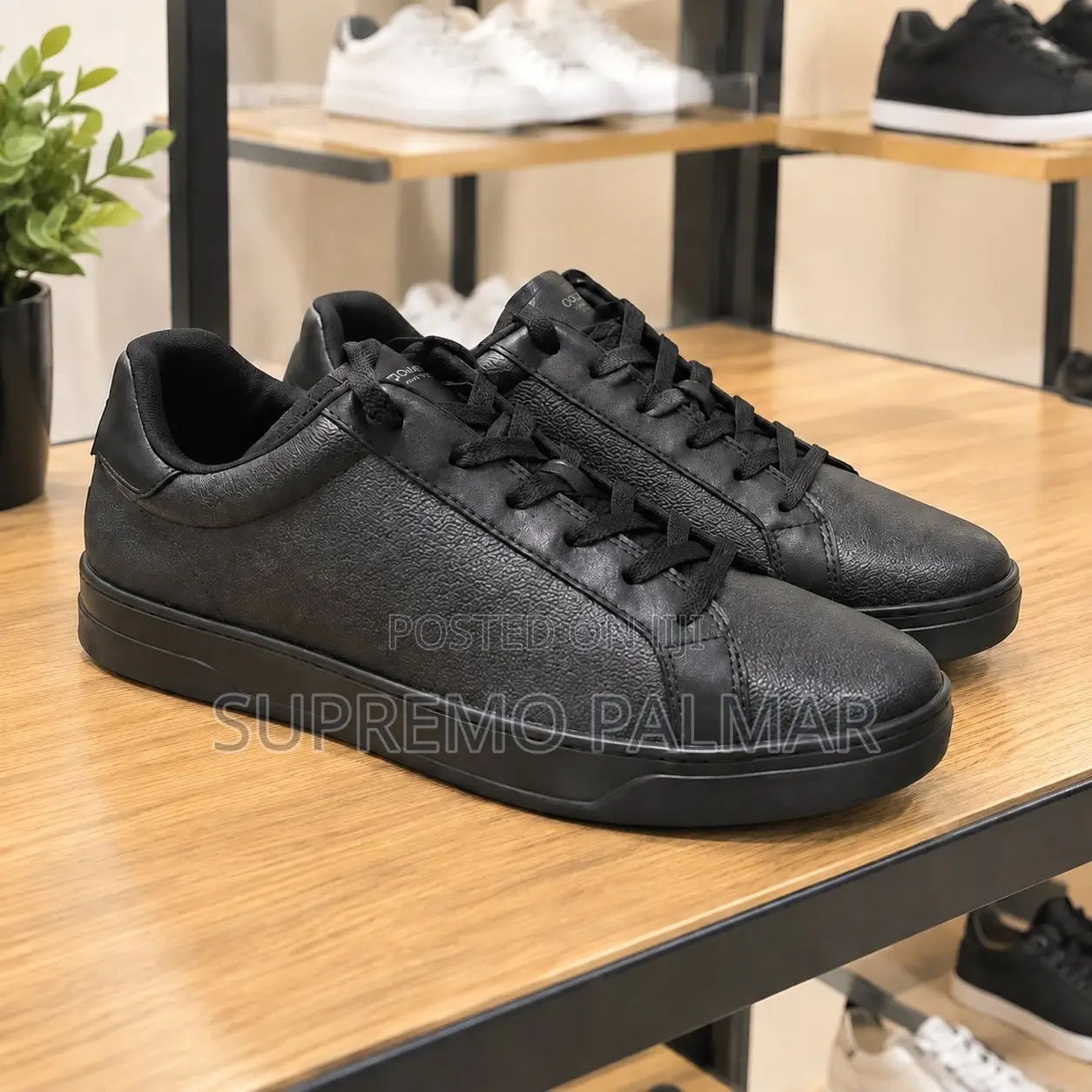 High Line Coach Sneakers – Graphite Black Signature Canvas
