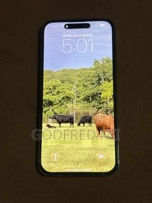 Apple iPhone 14 Pro Max 512 GB Black