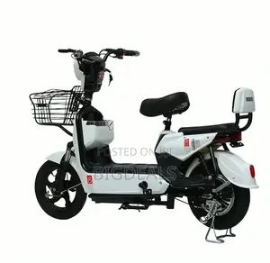 New Golden Eagle Electric Bike