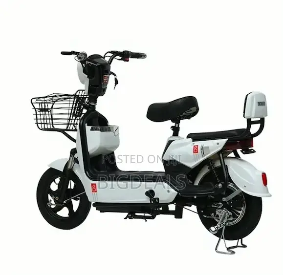 New Golden Eagle Electric Bike