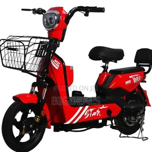 New Golden Eagle Electric Bike